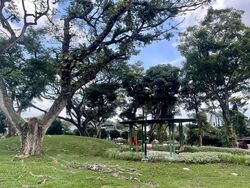 Mayflower Gardens (D20), Semi-Detached #538982731
